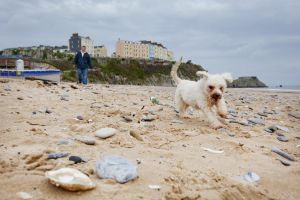 Tenby south beach 2 sm.jpg